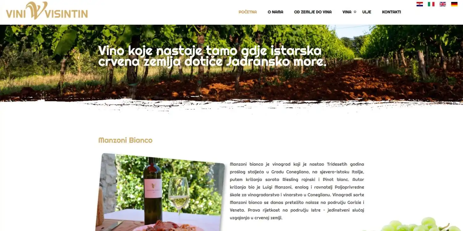 vini visintin